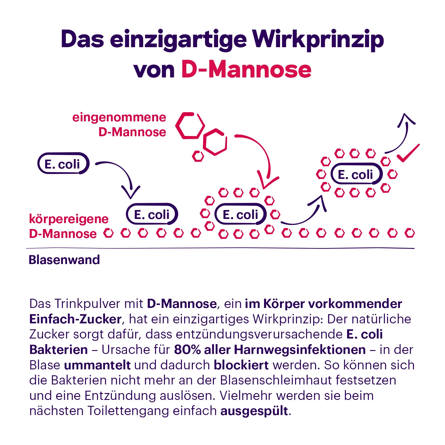 Femannose F mit Preiselbeer-Extrakt und D-Mannose - Image 5